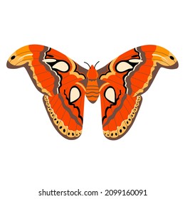 Butterfly vector illustration clipart. Cute Butterfly isolated.