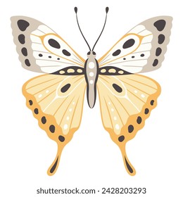 Butterfly vector illustration. Colourful wings with abstract ornament, front view, a symbol for tattoo design. Summer background, fly insect