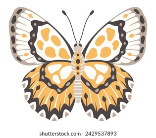 Butterfly vector illustration. Colourful wings with ornament, front view, a symbol for tattoo design. Summer background, fly insect