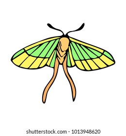 Butterfly vector illustration. Doodle style. Design, print, logo, decor, textile, paper.