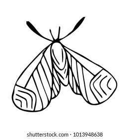 Butterfly vector illustration. Doodle style. Design, print, logo, decor, textile, paper.