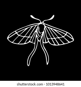 Butterfly vector illustration. Doodle style. Design, print, logo, decor, textile, paper.