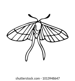 Butterfly vector illustration. Doodle style. Design, print, logo, decor, textile, paper.