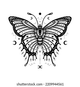 Butterfly vector illustration easy to edit