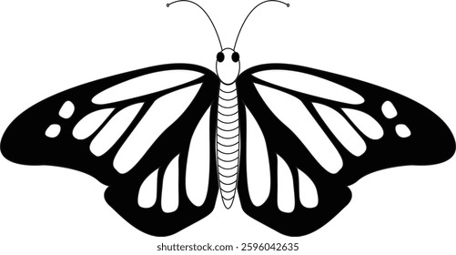 Butterfly Vector Illustration – Elegant Insect with Vibrant Wings