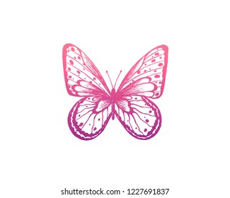 Butterfly. Vector illustration. Elegant butterfly logo for feminine business. 