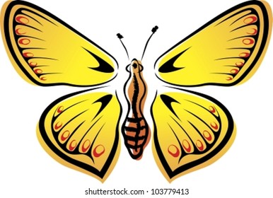 Butterfly. Vector illustration (EPS8). All parts (object) closed, possibility to edit, without transparence.