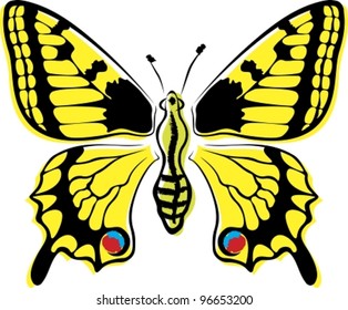 Butterfly. Vector illustration (EPS8). All parts (object) closed, possibility to edit, without transparence.