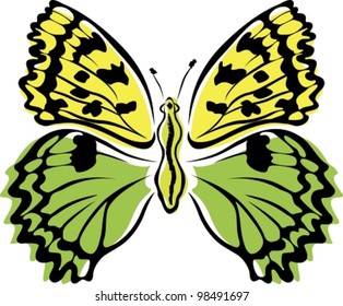 Butterfly. Vector illustration (EPS8). All parts (object) closed, possibility to edit, without transparence.