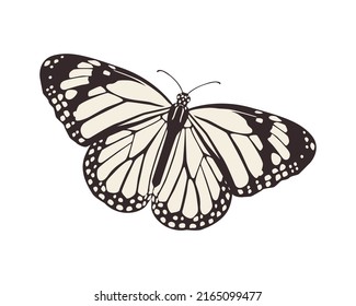 Butterfly vector illustration. Flat art trendy print. Black and white picture 