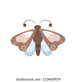 Schmetterling, Vektorgrafik, flaches Design