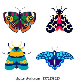 butterfly vector illustration flat style isolated on white background