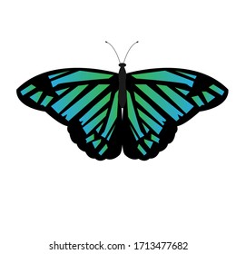 Butterfly Vector Illustration with Green to Blue Gradient Color.