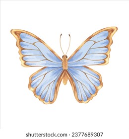 Ilustración del vector de mariposa. Dibujo manual de imágenes prediseñadas en fondo aislado blanco. Dibujo acuarela de insectos con alas azules y doradas. Esbozo de polilla voladora para pegatinas de pared y decoraciones