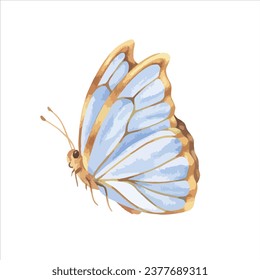 Ilustración del vector de mariposa. Dibujo manual de imágenes prediseñadas en fondo aislado blanco. Dibujo acuarela de insectos con alas azules y doradas. Esbozo de polilla voladora para tarjetas de felicitación e impresiones