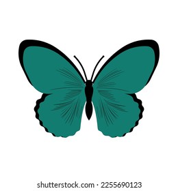 Butterfly vector illustration. Isolated cartoon set icon decorative insect . Vector cartoon set icon butterfly.