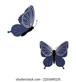 Butterfly vector illustration. Isolated cartoon set icon decorative insect . Vector cartoon set icon butterfly.