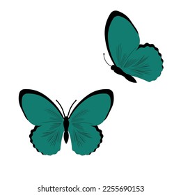 Butterfly vector illustration. Isolated cartoon set icon decorative insect . Vector cartoon set icon butterfly.