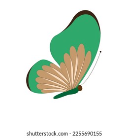 Butterfly vector illustration. Isolated cartoon set icon decorative insect . Vector cartoon set icon butterfly.