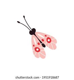 Butterfly, vector illustration isolated on white background.