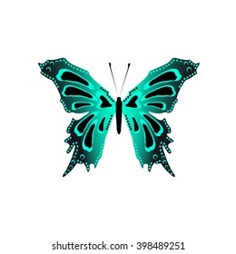 Butterfly vector illustration, isolated on white background 