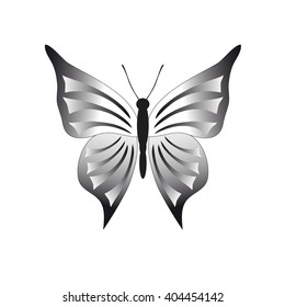 Butterfly vector illustration, isolated on white background