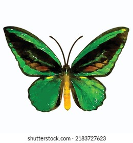 Butterfly vector illustration. Moth on a white background. Colorful butterfly hand drawn. Romantic decoration. Aquarelle style. Picture for logo, design and greeting card.