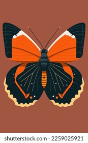 Butterfly. Vector illustration of a butterfly on a brown background. wall art print poster