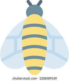 butterfly Vector illustration on a transparent background. Premium quality symmbols. Line Color vector icons for concept and graphic design. 
