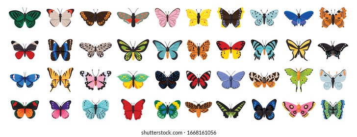 Butterfly vector illustration on white background . Isolated cartoon set icon decorative insect . Vector cartoon set icon butterfly.