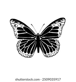 Ilustración vectorial de mariposa sobre fondo blanco 
