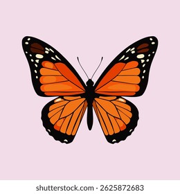 butterfly vector illustration on white background