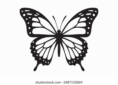 butterfly vector illustration with white background