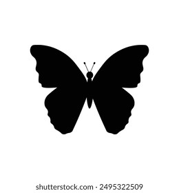 Butterfly  Vector illustration white background