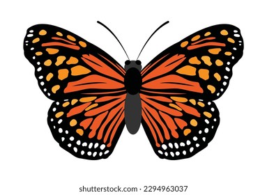 Imagen vectorial de mariposa o clipart