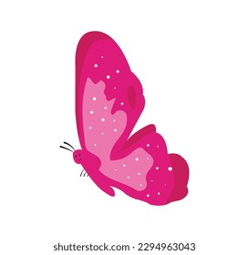 Imagen vectorial de mariposa o clipart