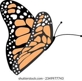 Butterfly vector image or clipart