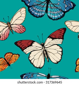 Butterfly vector. Insect sketch collection for design
