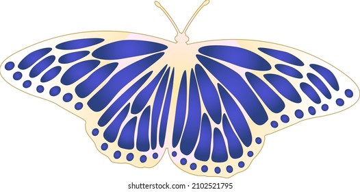 Butterfly vector isolated vector illustration