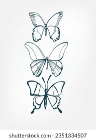 butterfly vector line art animal wild life single one line hand drawn illustration isolated