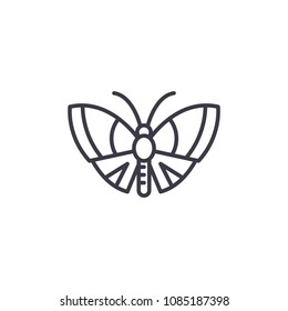 butterfly vector line icon, sign, illustration on background, editable strokes