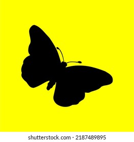 butterfly vector for logo or illustration