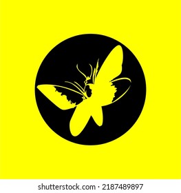 butterfly vector for logo or illustration