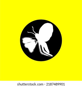 butterfly vector for logo or illustration