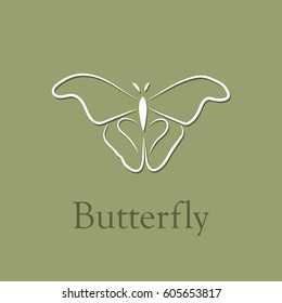 butterfly vector logo template
