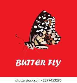 
Butterfly vector logo template and symbol logo type