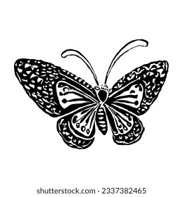 Butterfly Vector Minimal Line Art Drawing