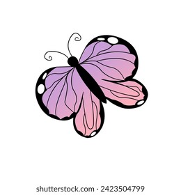 Butterfly vector ornamen full color 