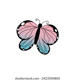 Butterfly vector ornamen full color 