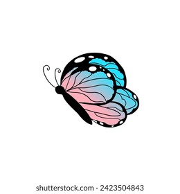 Butterfly vector ornamen full color 